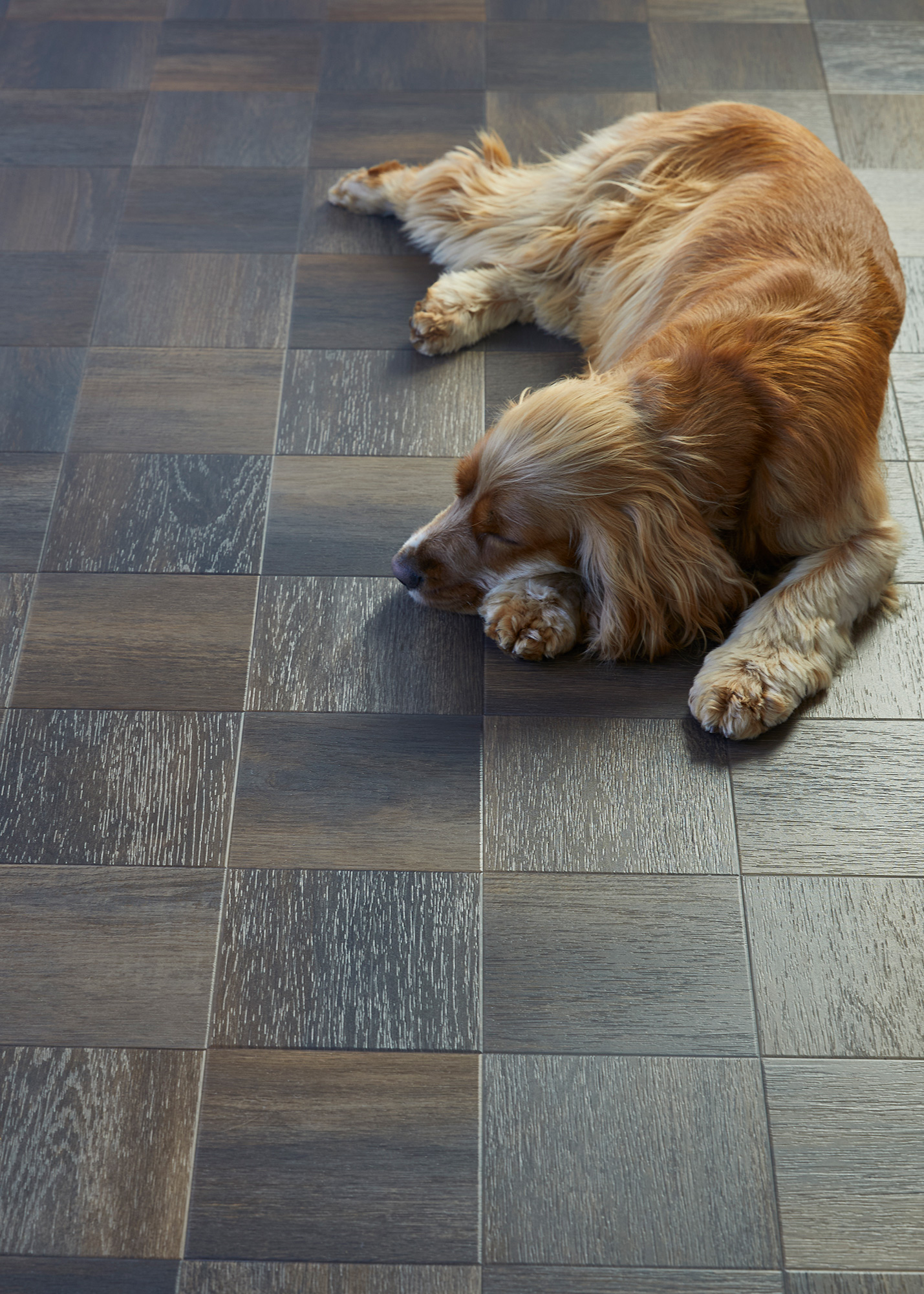 Amtico Spacia flooring Amtico vinyl flooring for all interiors from Brocklehurst carpets Muswell Hill, London, N10
